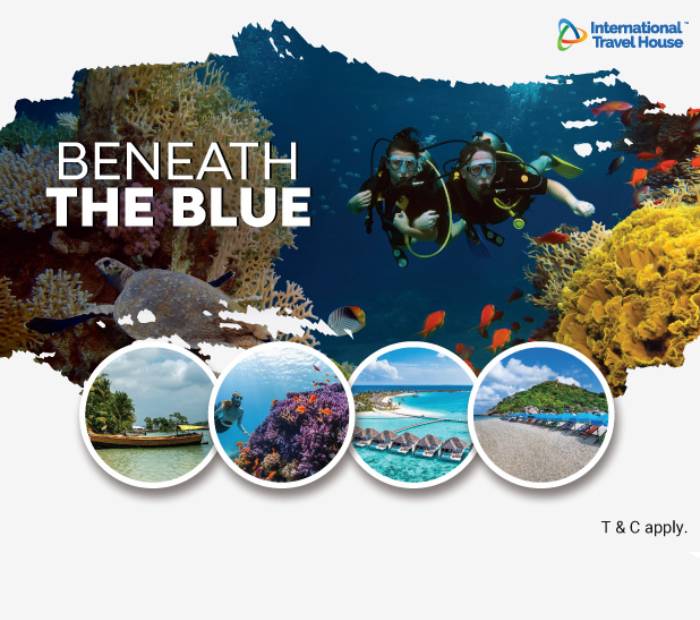 Beneath the Blue